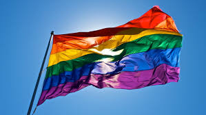 La scrutinul electoral din 26 mai, alegatorul cu drept de vot, care. De Ce Nu Merg La Referendum Petronela Rotar