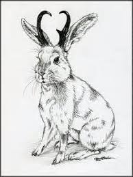 70 Jackalope Tattoos Ideas Jackalope Tattoos Animal Tattoo Jackalope tattoos that you can filter by style, body part and size, and order by date or score. jackalope tattoos animal tattoo