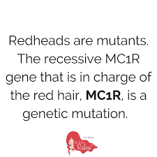 Pin On Read Redhead Articles