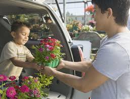 › dwf dallas wholesale florist. Wholesale Covingtons