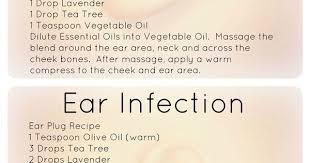 Pin On Liz S Garden Aromatherapy