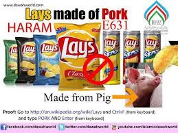 2.1 why there is ecode printed instead of pig fat. Singapore Halal Culinary Federation Facebook
