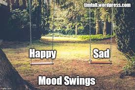 Mood Swings Imgflip