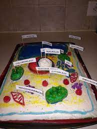 I hope your day is full of sweets and spooky costumes. Plant Cell Cake Plant Cell Cake Edible Cell Edible Cell Project