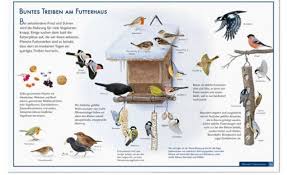 Vogel Im Jahreskreis Pdf Free Download Befürchtungen, dass das gefieder durch ein wasserbad vereisen. vogel im jahreskreis pdf free download