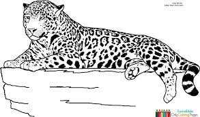Ausmalbilder leopard gepard zum ausdrucken ausmalbilder ausmalen ausmalbilder tiere. Ausmalbilder Jaguar Tier Ausmalbilder Fur Kinder Jaguar Tier Ausmalbilder Tiere Ausmalen