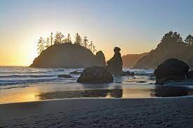 White sand, landscape, nature, beach, resort, palm trees, sunset. 11 Top Rated Things To Do In Trinidad Ca Planetware