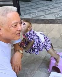 Reunion of Monkey Kaka and Mit with their family