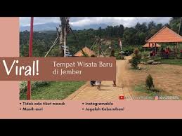 Harga tiket masuk rabbit wonderland. Video Wisata Jember
