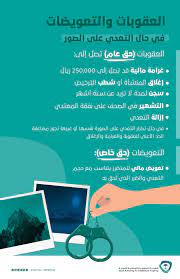 الملكية الفكرية التعدي على الصور يعد انتهاكا للحقوق ومخالفا للنظام والعقوبة تصل لـ 100 الف ريال صحيفة مال