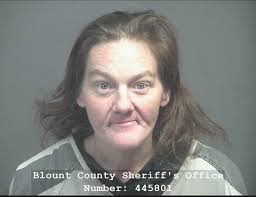 GARRETT, JACEE RENEE Charges: AGGRAVATED ASSAULT This information and more  is available https://apps.myocv.com/share/a95737804