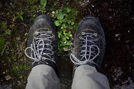 The trail focuses on teaching hikers why the cholla cactus garden is so unique and what adaptations plants and animals have developed to live here successfully. Ukc Gear Review Approach Shoes