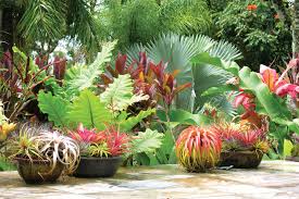 The soil has to be rich; 12 Ideas From The New Sunset Western Garden Book Tropical Garden Tropical Landscaping Tropical Garden Design