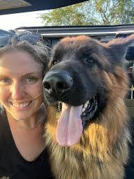 Andrea Dodge's Instagram, Twitter & Facebook