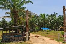 The 2013 lahad datu standoff was a military conflict that started on 11 february 2013 and fully ended on 24 march 2013 the standoff arose after 235 militants. 2013 Lahad Datu Standoff Wikipedia