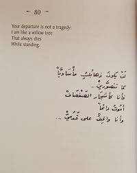 Love Promise Poem By Nizar Qabbani Google Search Words Quotes Arabic Quotes Feelings Words