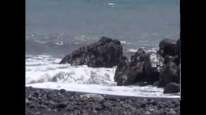 Maybe you would like to learn more about one of these? Transcit Com Travel Antar Jemput Paket Rental Mobil Sewa Motor Tours Travel Aman Dan Terpercaya Artikel