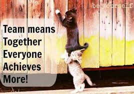Funny Motivations Teamwork Quotes - Best Motivational Quotes Idea via Relatably.com