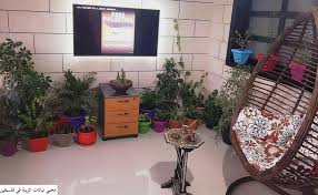محبو نباتات الزينة في فلسطين Photos Facebook