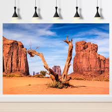 Image result for Terrarium Cling Background