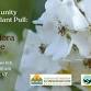 Community Invasive Plant Pull