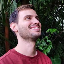 Image result for Scleria bambariensis