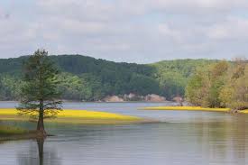 Maybe you would like to learn more about one of these? Tennessee National Wildlife Refuge Wikipedia