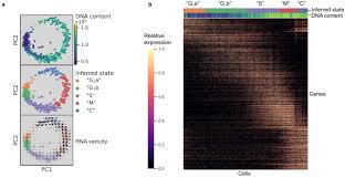 Freaks of nature ……….spooky and freaky: A Single Parasite Transcriptional Atlas Of Toxoplasma Gondii Reveals Novel Control Of Antigen Expression Biorxiv