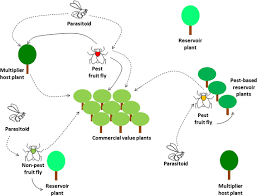 Get directions, reviews and information for delroy products & pest control in toledo, oh. Pest Management Through Tropical Tree Conservation Springerlink