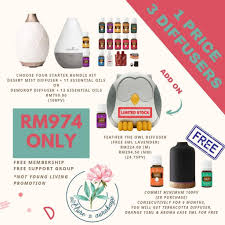 See more ideas about aria diffuser young living, aria diffuser, diffuser. Young Living Yl Dewdrop Desert Mist Feather The Owl Terracotta Diffuser Essential Oils Health Beauty Perfumes Nail Care Others On Carousell
