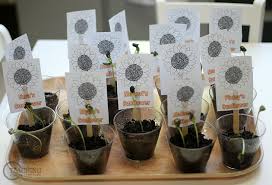 Games are so much fun for students since it doesn't feel like learning. Fun Gardening Inspired Activities For Kids To Try Good Play Guide Good Play Guide