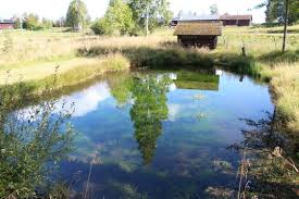 Hus Villor Till Salu I Alvdalen Lansforsakringar Fastighetsformedling Villa Hus Fastighet