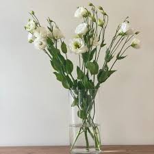 Image result for eustoma lisianthus in vase