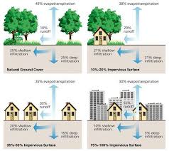 Dealing With Impervious Coverage In The City Of Austin Reliant Pools Austin S Custom Pool Builder Rain Garden Design Stormwater Soil And Water Conservation