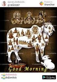 The 'mahima' (spiritual glory) of kamadhenu 'sarva loka gomatha'. 160 Lord Gomatha Ideas In 2021 Hindu Gods Hindu Deities Indian Gods