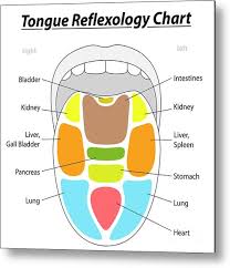 Tongue Reflexology Chart Metal Print