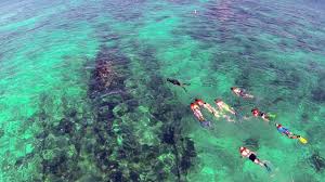 Only accessible by car or boat. Biscayne National Park Florida National Parks Association