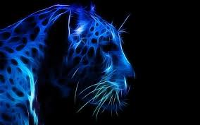 Vx28 circle earth blue color pattern background wallpaper. Hd Wallpaper Blue Cheetah Clipart Face Leopard Profile Blue Color The Dark Background Wallpaper Flare