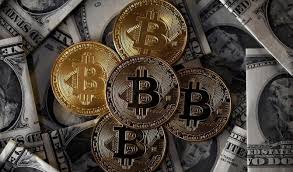 Many people search for mining rig in pakistan and gpu mining rig price in pakistan. Pakistan To Tap Into Digital Currency Potential By 2025 Arab News