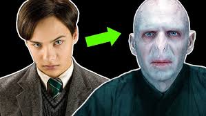 Why Did Voldemort Need The Philosopher'S/Sorcerer'S Stone So Much? |  Wizarding World
