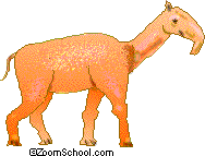Camels are very strong mammals with wide, padded feet. Extinct Animal Coloring Pages Enchantedlearning Com