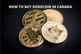 The doge/usdt, doge/btc, and doge/bch trading pairs account for 16.3%, 5.1%, and 4.9% of the total trading volume of dogecoin. How To Buy Dogecoin In Canada Savvy New Canadians