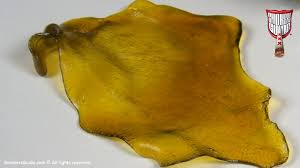 Is making your shatter at home worth it? Cannabis Concentrates Butane Hash Oil Wax Shatter