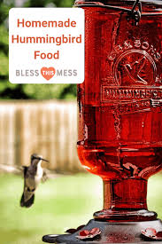 Homemade hummingbird food is very easy and inexpensive to make. The Best Homemade Hummingbird Food Recipe Bless This Mess