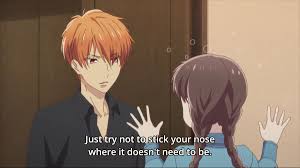 Pin By Ama B On Fruits Basket In 2020 Fruits Basket Anime Fruit Basket Fruits Basket