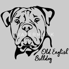 The most successful line was developed by david leavitt in the 1970's and. Old English Bulldog Oeb Hunde Hund Wilsigns Manner T Shirt Spreadshirt