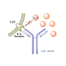 What are the most important side effects and. Sarilumab Drugbank Online