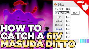 how to catch a 6iv masuda method ditto in pokemon sword and shield