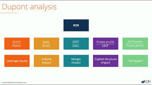 Dupont Analysis Learn How To Create A Dupont Analysis Model