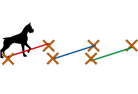 Vom kunststoff cavaletti block, stangen und kompletten günstigen hindernispaketen steht ihnen das komplette cavaletti angebot zur cavalettis selber bauen lohnt sich daher nicht. Cavaletti Hundesport Kleine Sprunge Mit Grosser Wirkung Wufflog